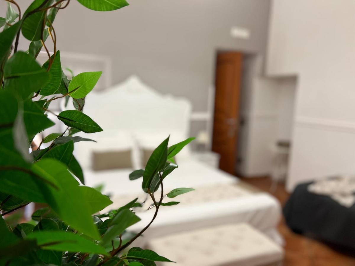 Bed and Breakfast MILUAUR - centro storico - lungo la via della Musica! Napoli Esterno foto